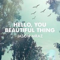 <span class="mw-page-title-main">Hello, You Beautiful Thing</span> 2014 promotional single by Jason Mraz