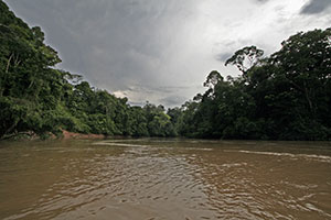 <span class="mw-page-title-main">Tiputini River</span> River in Ecuador