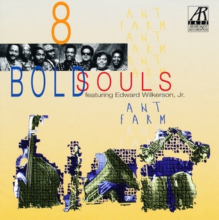 <i>Ant Farm</i> (album) 1994 studio album by 8 Bold Souls