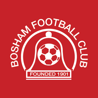 <span class="mw-page-title-main">Bosham F.C.</span> Association football club in England