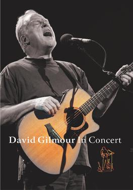 File:Gilmour concert.jpg