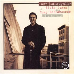 <i>After the Rain</i> (John McLaughlin album) 1994 studio album by John McLaughlin