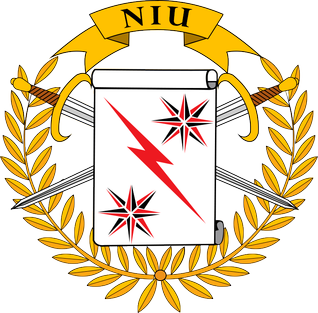 File:National Intervention Unit Operational Badge.png