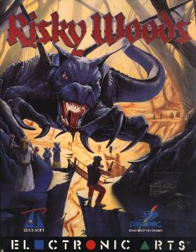 <i>Risky Woods</i> 1992 video game