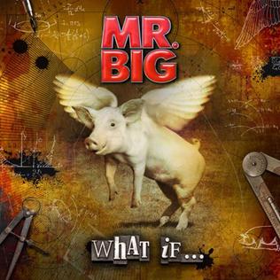 File:What If... (Mr. Big album - cover art).jpg