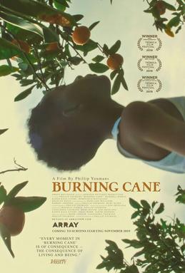 <i>Burning Cane</i> 2019 American film