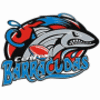 File:CenTexBarracudas.gif