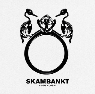 <i>Søvnløs</i> (album) 2010 studio album by Skambankt