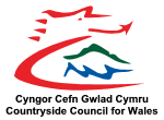 Уэльс үшін ауылдық кеңес color logo.png