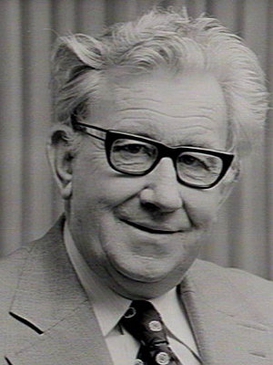 <span class="mw-page-title-main">Jack Ferguson</span> Australian politician