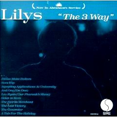 <i>The 3 Way</i> 1999 studio album by Lilys