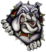 <span class="mw-page-title-main">Milton-Ulladulla Bulldogs</span> Australian rugby league club, based in Ulladulla, NSW