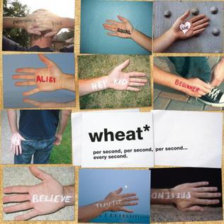<i>Per Second, Per Second, Per Second... Every Second</i> 2003 studio album by Wheat