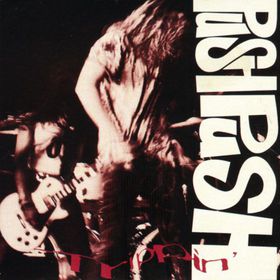 <span class="mw-page-title-main">Trippin' (Push Push song)</span> 1991 single by Push Push