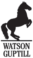 Watson-Guptill American publisher
