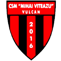 <span class="mw-page-title-main">CSM Vulcan</span> Romanian football club
