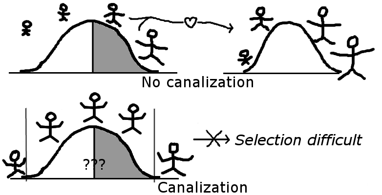 File:Canalization problem.png