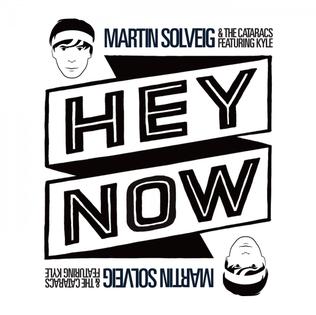 Hey Now (Martin Solveig song) 2013 single by Martin Solveig and The Cataracs featuring Kyle