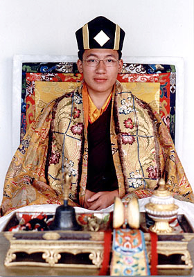 File:Karmapa 17 Trinley.jpg