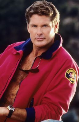 <span class="mw-page-title-main">Mitch Buchannon</span> Fictional character in the television series Baywatch