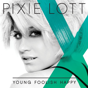 <i>Young Foolish Happy</i> album