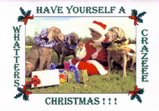 File:Steve Whatley Crazeee Christmas Card Small.jpg