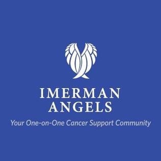 <span class="mw-page-title-main">Imerman Angels</span> American non-profit organization