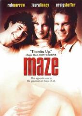 <i>Maze</i> (2000 film) 2000 film by Rob Morrow