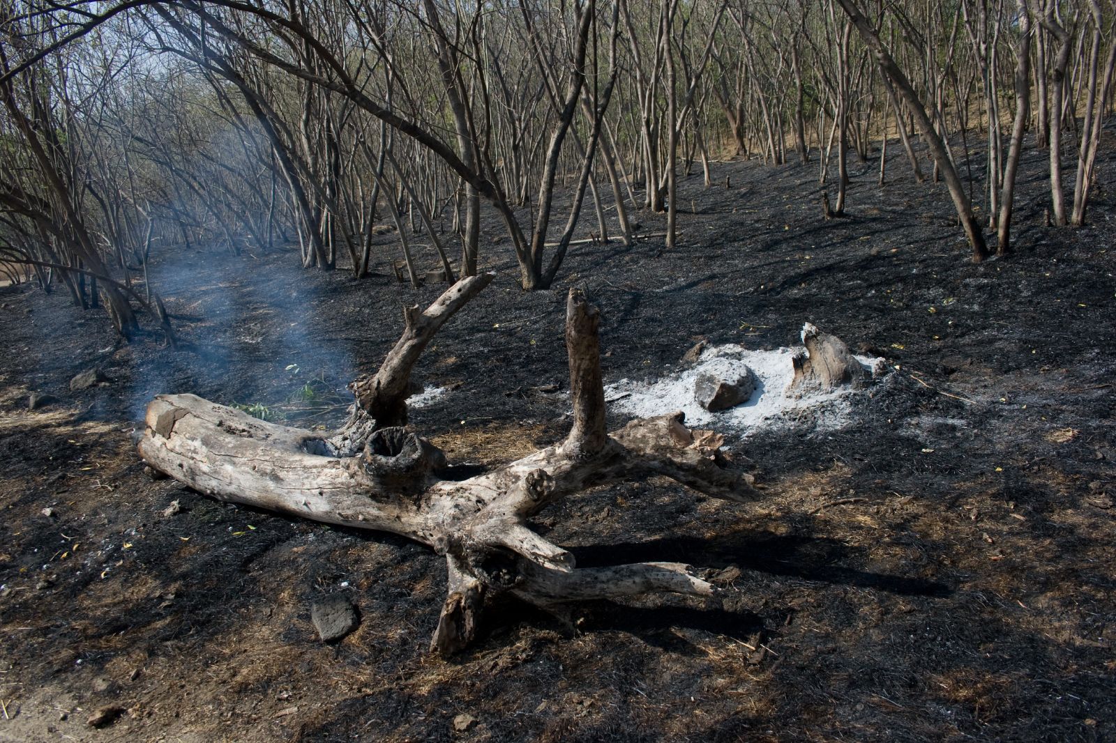 Vetal Hill in Pune