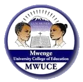 <span class="mw-page-title-main">Mwenge Catholic University</span> University