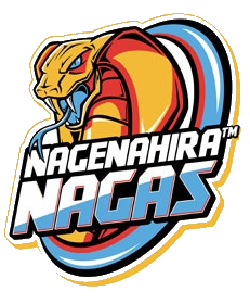 <span class="mw-page-title-main">Nagenahira Nagas</span> Cricket team