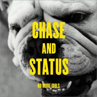 <i>No More Idols</i> 2011 studio album by Chase & Status