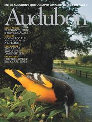 File:AudubonMag jul-aug2012 cover.jpg