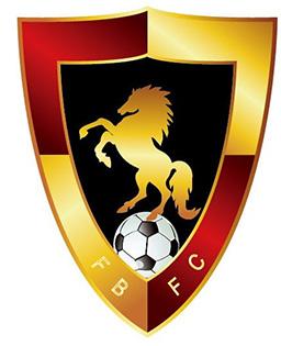 File:Fujian Broncos FC logo.jpg