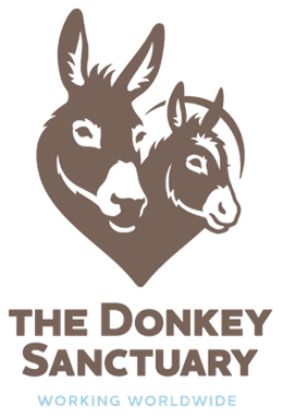 The Donkey Sanctuary Logo