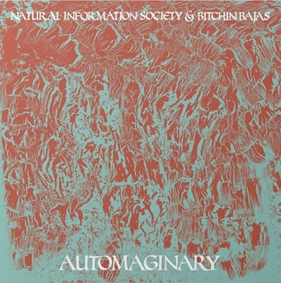 <i>Automaginary</i> 2015 studio album by Natural Information Society and Bitchin Bajas