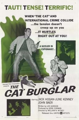 Cat Burglar - Wikipedia