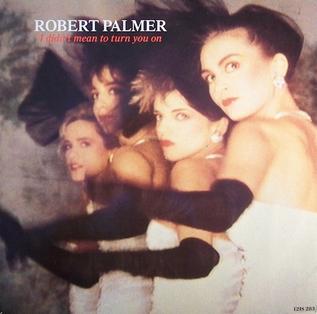 It_Didn%27t_Mean_to_Turn_You_On_by_Robert_Palmer.jpg