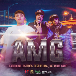 <span class="mw-page-title-main">AMG (song)</span> 2022 single by Natanael Cano, Peso Pluma and Gabito Ballesteros