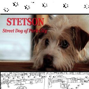 <i>Stetson, Street Dog of Park City</i> 2012 American film