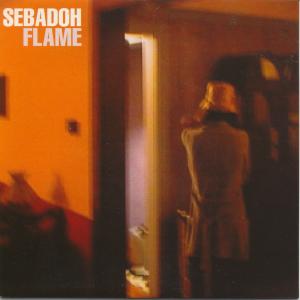 <span class="mw-page-title-main">Flame (Sebadoh song)</span> 1999 single by Sebadoh