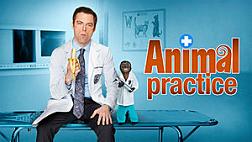 <i>Animal Practice</i> American TV series or program