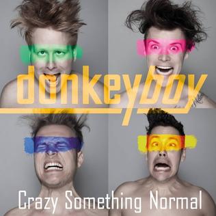 Crazy Something Normal 2014 song performed by Donkeyboy