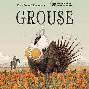 <i>Grouse</i> (podcast) Podcast about the greater sage-grouse