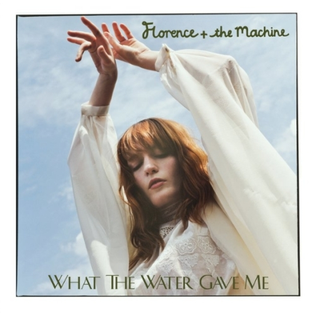 What the Water Gave Me (song) 2011 promotional single by Florence and the Machine