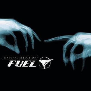 <i>Natural Selection</i> (Fuel album) 2003 studio album by Fuel