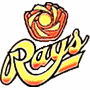 <span class="mw-page-title-main">Sun City Rays</span> Minor league baseball team