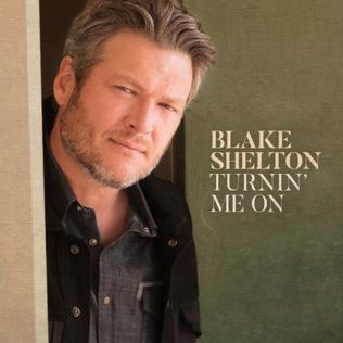 Turnin Me On (Blake Shelton song) 2017 single by Blake Shelton