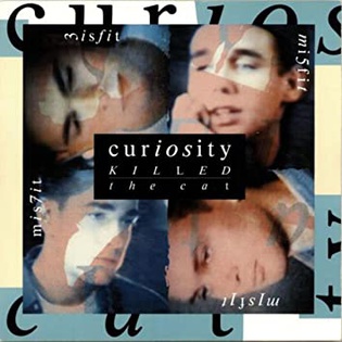 <span class="mw-page-title-main">Misfit (Curiosity Killed the Cat song)</span> 1986 single by Curiosity Killed the Cat