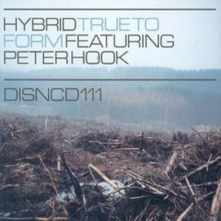 File:Hybrid - True to Form (2003 Single).jpg